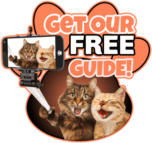 Get Our Free Guide
